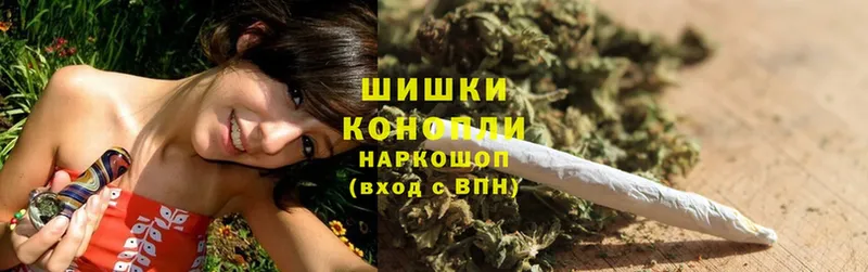 Бошки марихуана THC 21%  Домодедово 